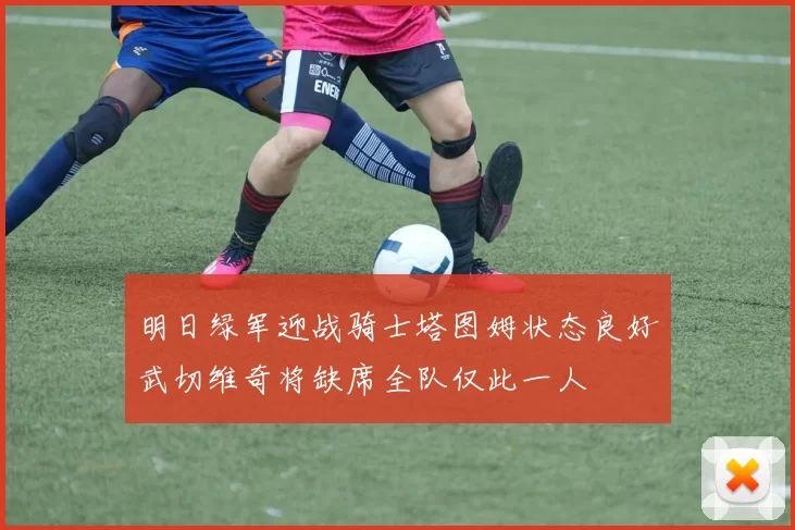 明日绿军迎战骑士塔图姆状态良好武切维奇将缺席全队仅此一人